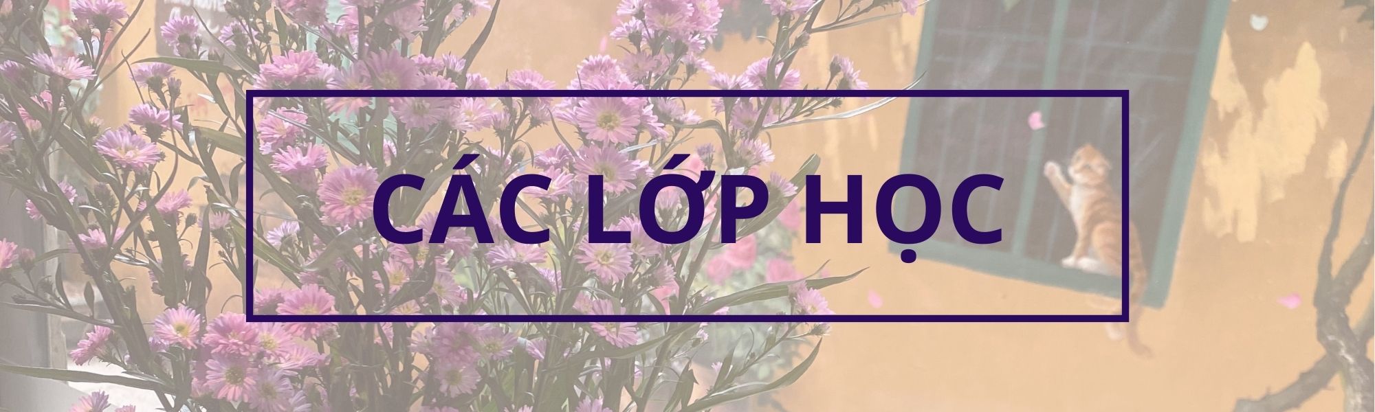 lop hoc ielts- lop luyen thi ielts