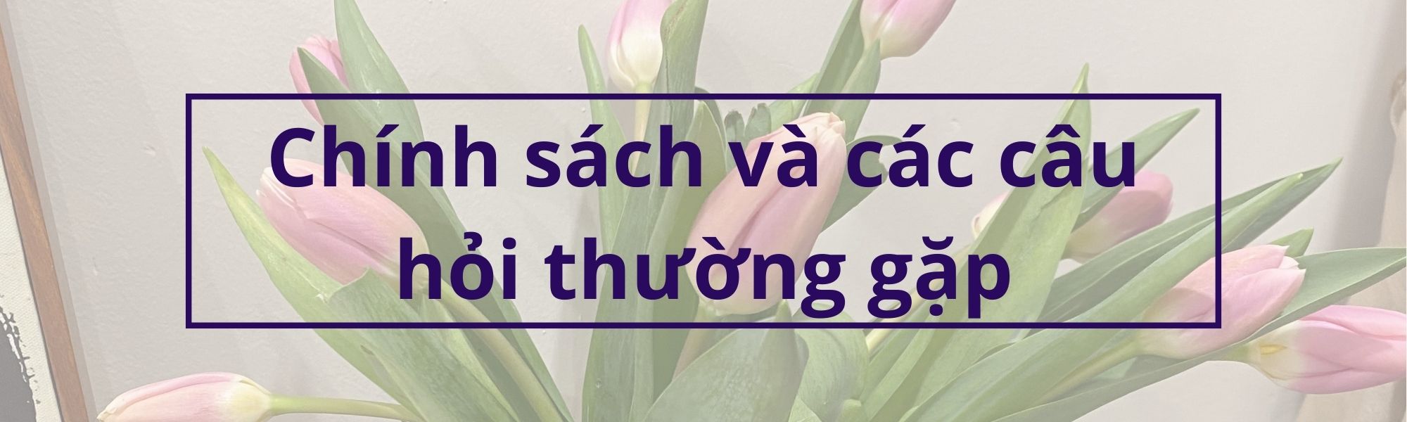 cau hoi ve ielts